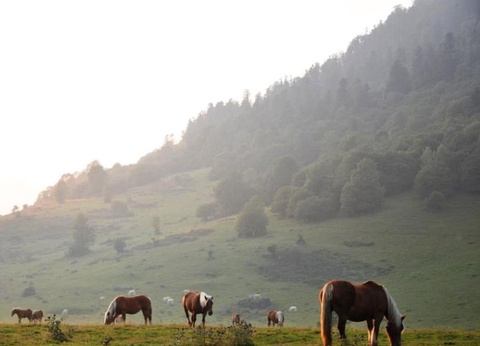 Camping Le Rey, 3* - 44