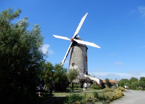 Camping Les Alouettes, 4* - 31