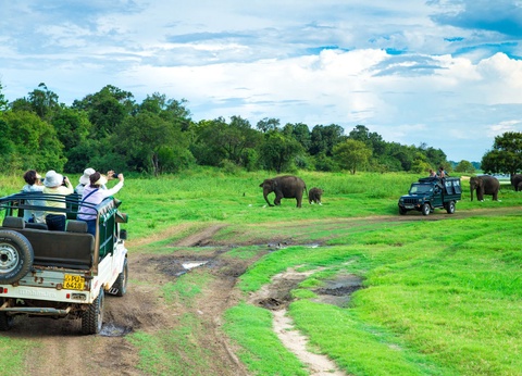 Circuit Sri Lanka : Voyage au Coeur des Incontournables - 3