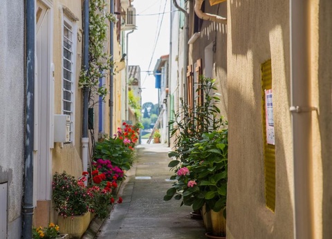 Camping Aux 4 vues, 3* - 14