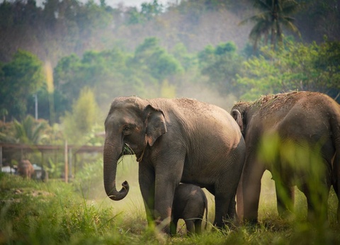 Escapade Thaïlandaise - Combiné de Bangkok à Chiang Mai et finissant à Khao Lak - 20