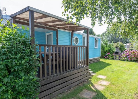 Flower Camping Vitamin, 4* - 18