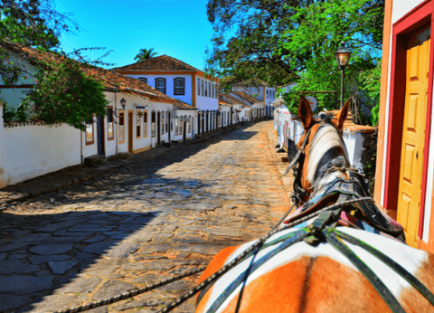 Circuit Baianas et Cariocas, Trésors du Brésil et Plaines du Pantanal - 11