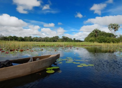 Immersion au Botswana & Extension Chutes Victoria 13J/10N - 2025 - 9