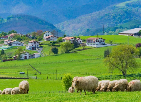 Camping Le Ruisseau Pays Basque 5* - 21