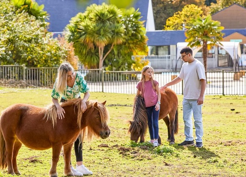 Camping Les Jardins du Morbihan, 4* - 18