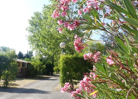 Camping de Montolieu, 3* - 8