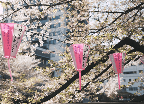 Circuit Merveilles Nippones et Tokyo à sa guise - 27