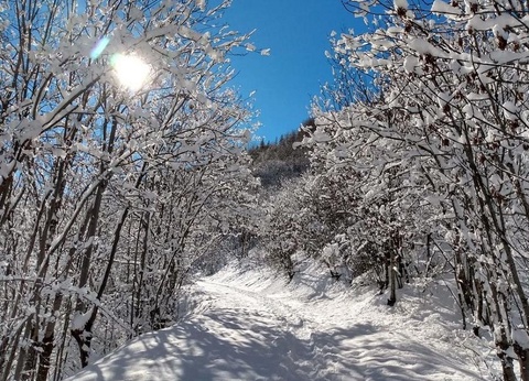 Camping l'Iscle de Prelles, 3* - 43