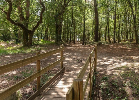 Camping Lou Broustaricq, 4* - 59