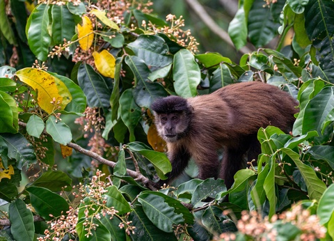 Circuit Le grand tour argentin : des Andes aux merveilles d'Iguazú - 3