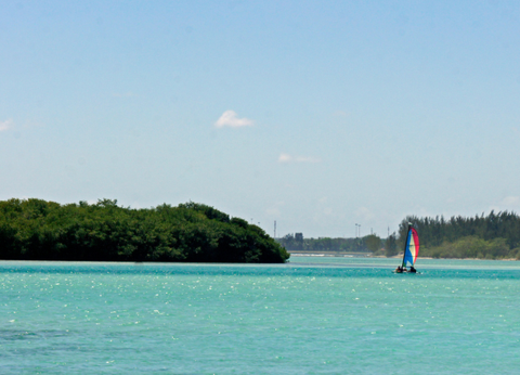 Circuit Panama, Couleur Café - 29