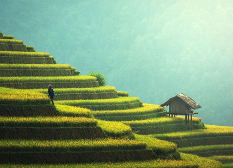 Circuit Privatif Le Vietnam Autrement - 31