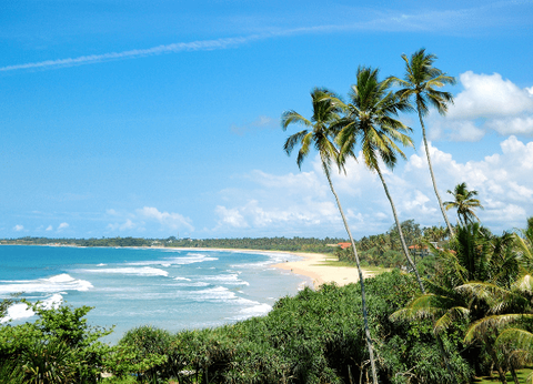 Circuit Sri Lanka Signature : Nature, Culture et Luxe - 12