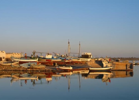 Combiné circuit et hôtel Circuit Plage au Framissima Golf Beach Djerba et désert de Tozeur **** - 11