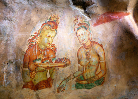 Circuit Le Royaume des Eléphants et plage en privatif - 7