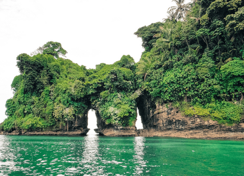 Circuit Dans le Sillage des Corsaires : De Panama à Bocas del Toro - 42