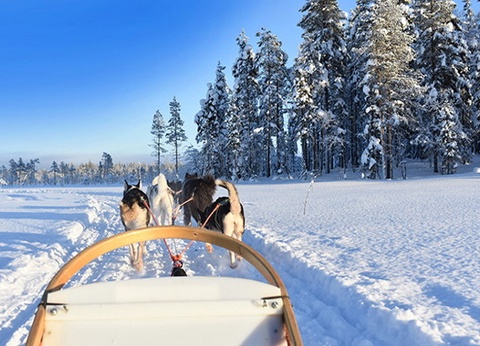 Club Framissima Holiday Club Laponie (activités incluses) - 5