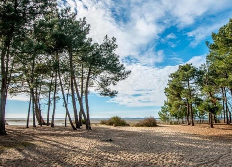 Camping Les Goélands, 3* - 24