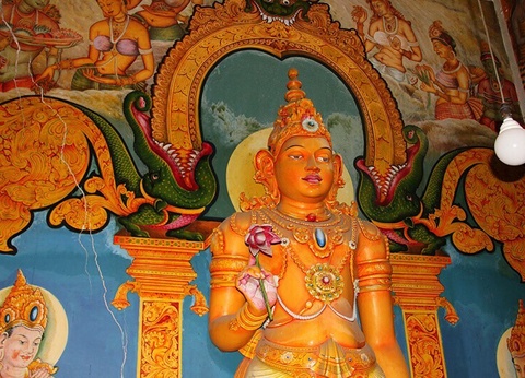 Circuit Evasion au Sri Lanka - 16