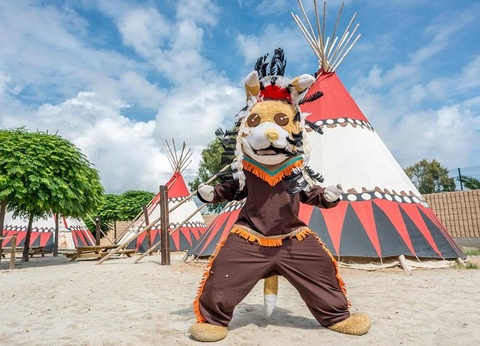 Camping Stel - Roda de Bara, 4* - 71