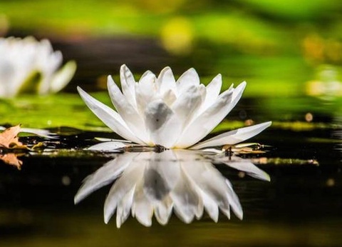 Villenpark Sanghen, 4* - 80