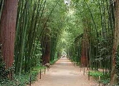 Camping le Domaine de Gajan, 4* - 44