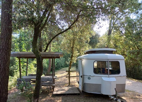 Camping Parfums d'Eté 4* - 74