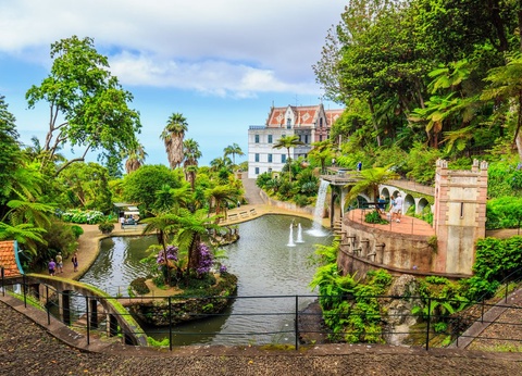 Hôtel Dorisol Mimosa 3* - 17