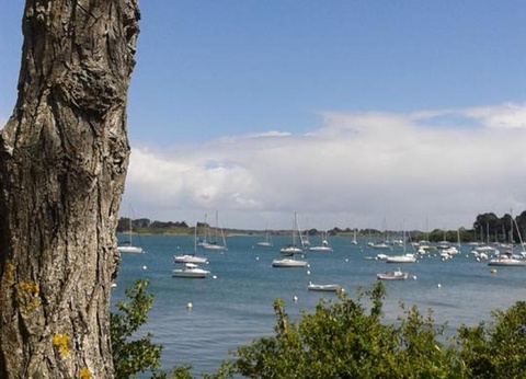 Camping Les Mouettes, 3* - 46