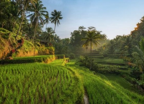 Hôtel Mamaka by Ovolo 4* - 16