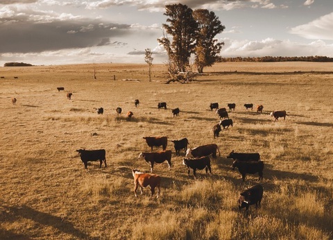 Circuit Privatif Evasion Inoubliable de l'Argentine au Brésil - 11