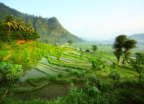 Circuit Balade à Bali - 17