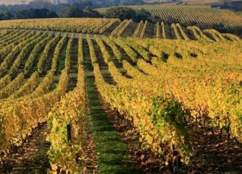 Camping Nantes Camping, 5* - 67