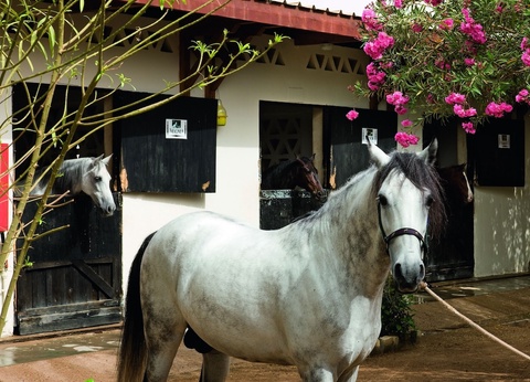 Hôtel Mövenpick Resort Sharm El Sheikh - 86
