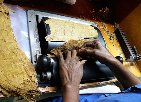 Circuit Découverte et Détente Parfums de Cuba - 11