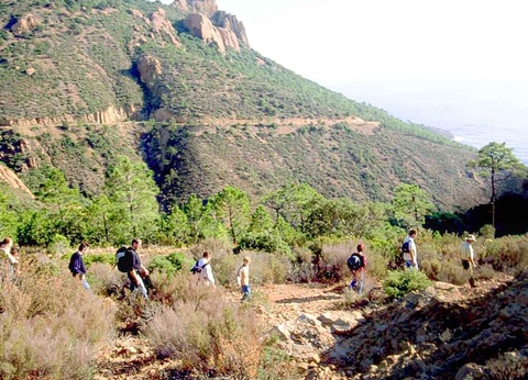 Séjour à 5 minutes de Saint-Raphaël dans une résidence avec piscine - 3* - 6