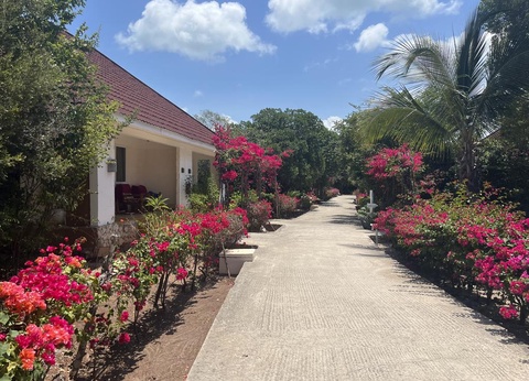 Ôclub Zen Pearl Beach Resort Zanzibar 4* + Safari 2 Nuits - 3