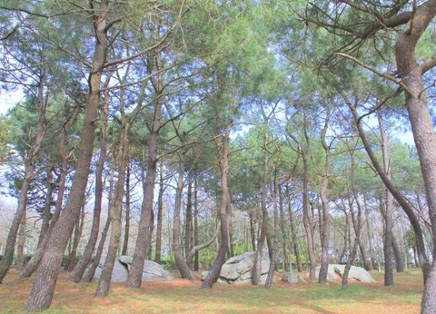 Flower Camping Domaine de Pendruc 4* - 31