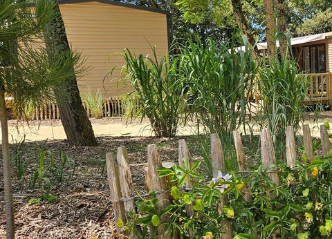 Camping Le Bois Verdon, 4* - 18