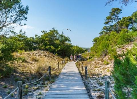 Hôtel Club Jumbo Sol Parc 3* - 5