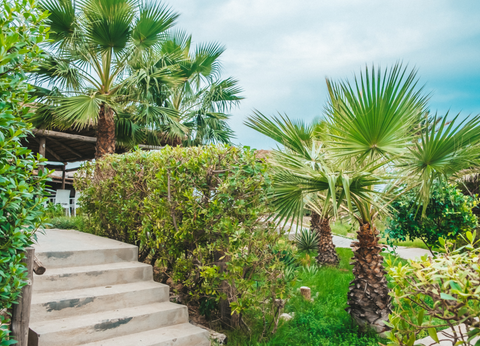 Hôtel Skanès Serail et Aquapark 4* - Long Séjour avec Cure - 8