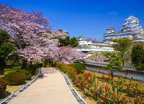 Circuit Sensations du Japon authentique - 18