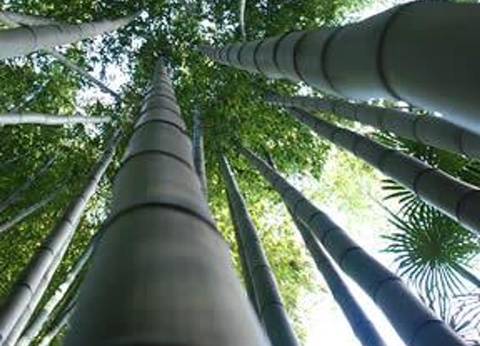 Camping Les Sources, 3* - 58