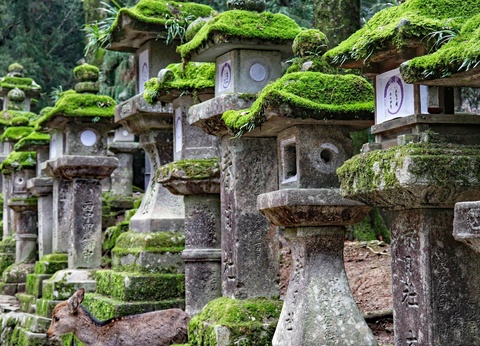 Circuit Voyage en liberté, là où naît le soleil : récit d'un Japon intemporel - 9