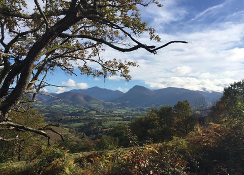 Camping Barétous Pyrénées 4* - 22