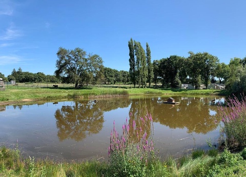 Camping L'Etang du Pays Blanc, 4* - 79