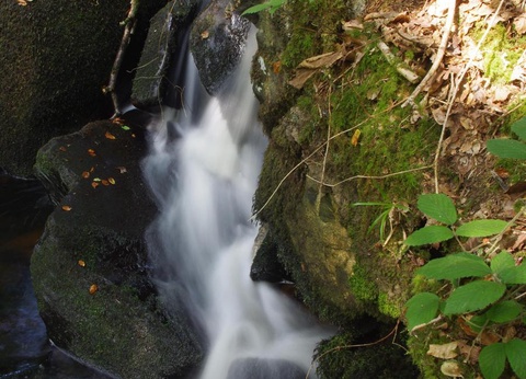 Camping La Riviere D'Argent, 3* - 58