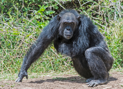 Circuit Safaris de Légende - 16