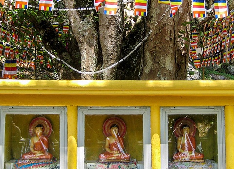 Circuit Sur la Route des temples Sri Lankais 3/4* - 13